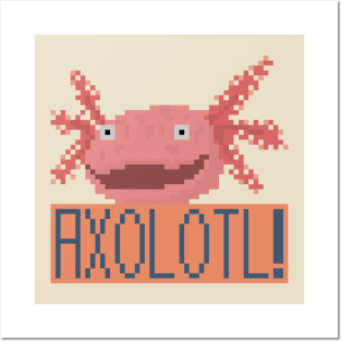 Axolotl Smile Pixel Posters and Art